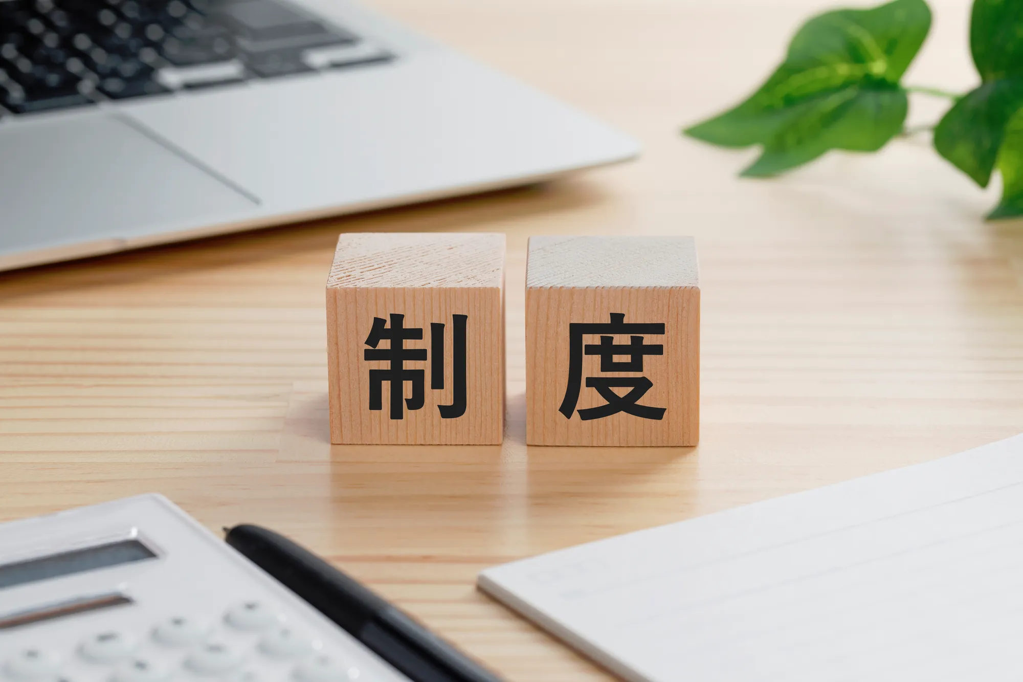 納税困難な法人が使える制度「納税の猶予」「換価の猶予」